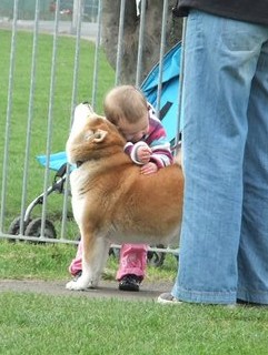 197861_526890552597_264600343_1344020_2120222_n