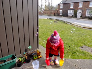 DSCF7147