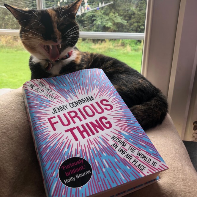 Image of Furious Thing sat in a cat basket with the cat baring her teeth in the background.