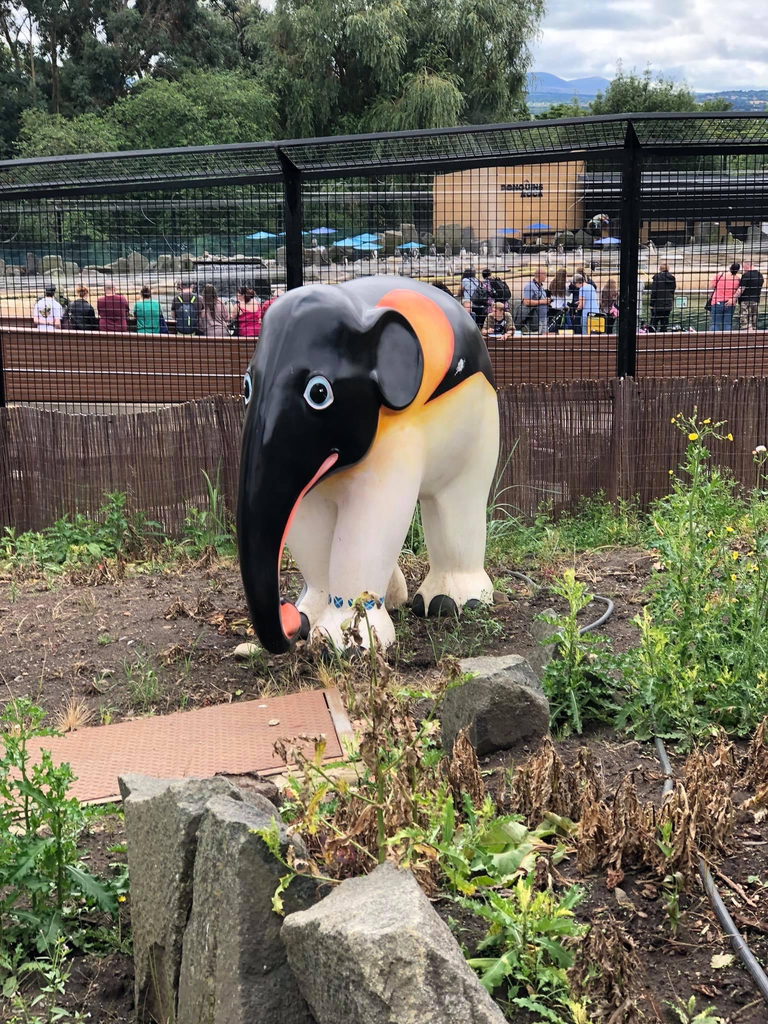 A penguiphant I saw at Edinburgh Zoo (elephant statue painted as a penguin)
